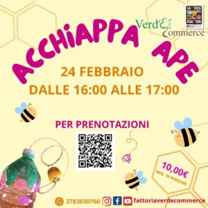24 Febbraio - ACCHIAPPA APE