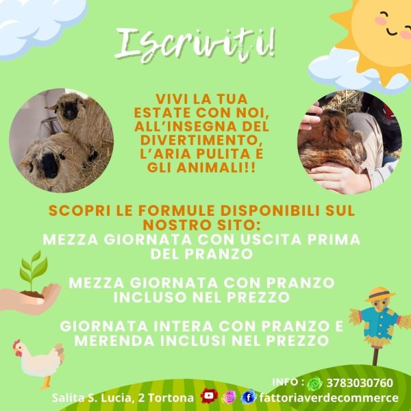 CAMPUS ESTIVI ★ 2024 - immagine 2