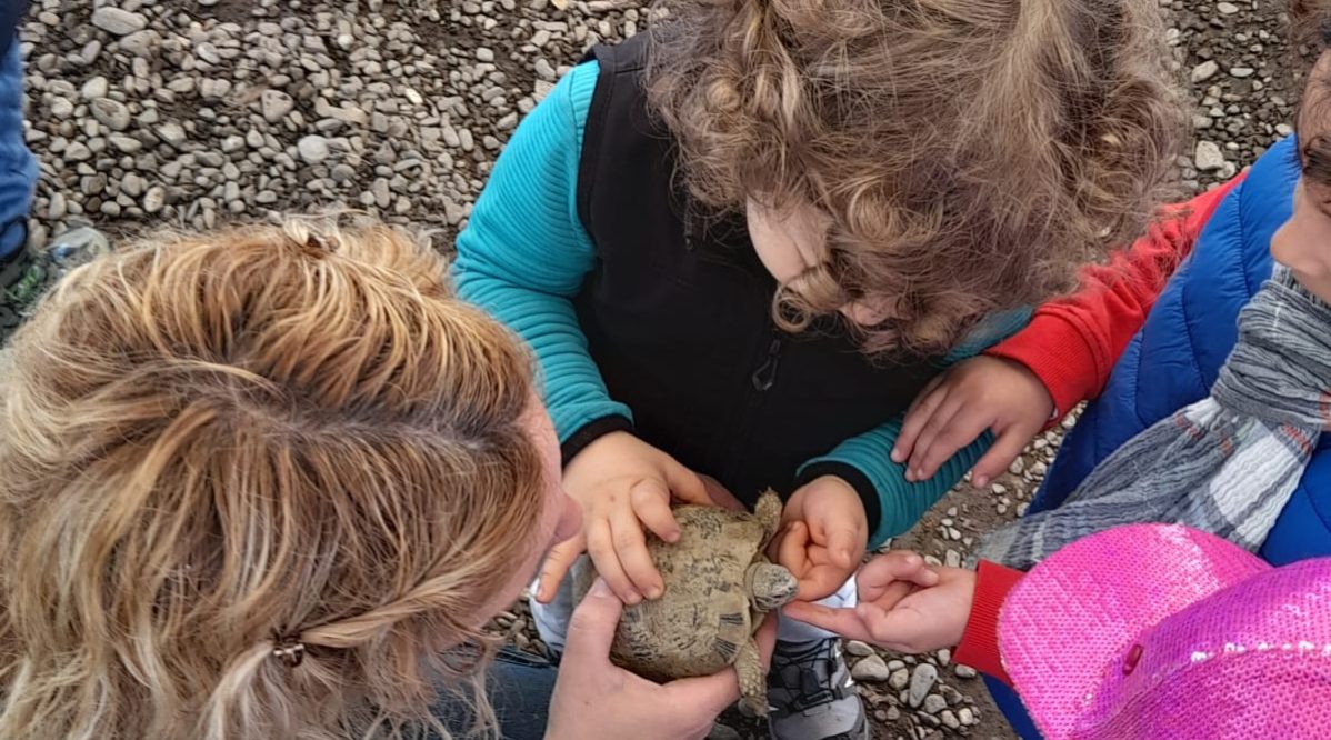 Immagine WhatsApp 2024-04-11 ore 18.39.32_1af3281c