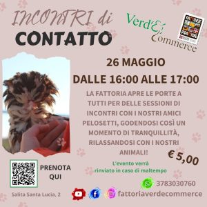 26 maggio - INCONTRI DI CONTATTO