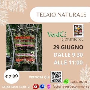 29 giugno - TELAIO NATURALE
