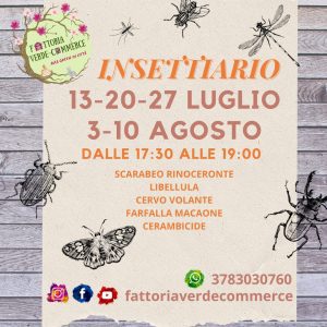 INSETTARIO (13-20-27 Luglio, 3-10 Agosto)