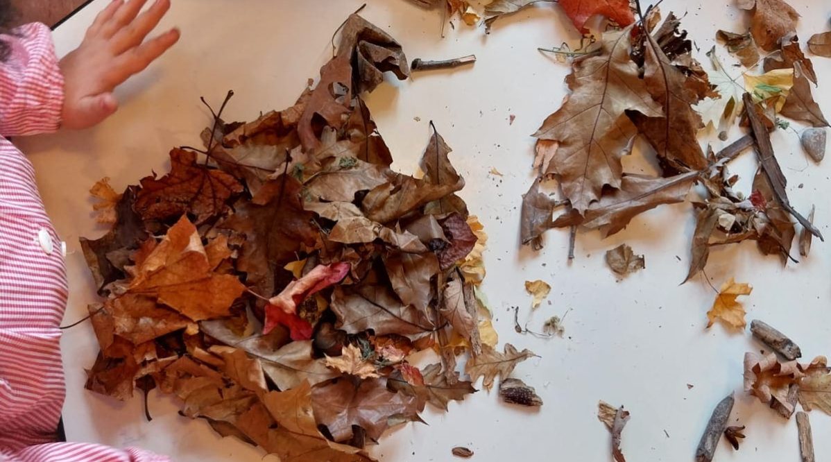 fattoria gita scolastica 28-10 (13)