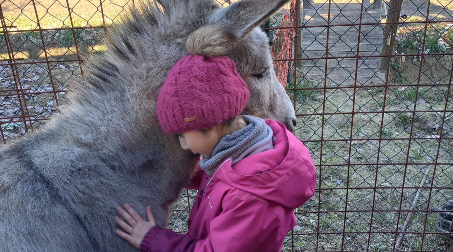 fattoria campus invernale 24 dic (8)