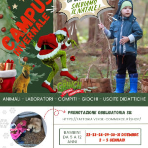 CAMPUS INVERNALE ★ 2025-2026