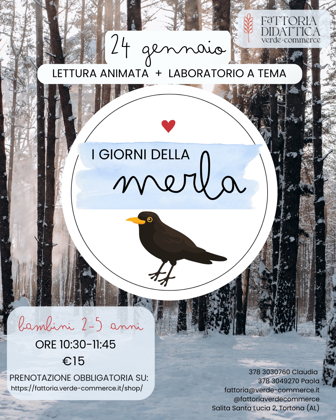 24 gennaio - I GIORNI DELLA MERLA